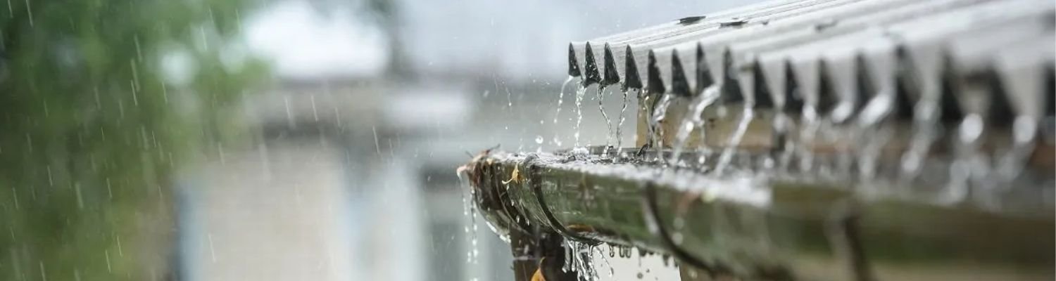 rain water harvesting system